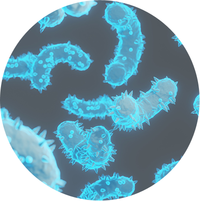 bacterial